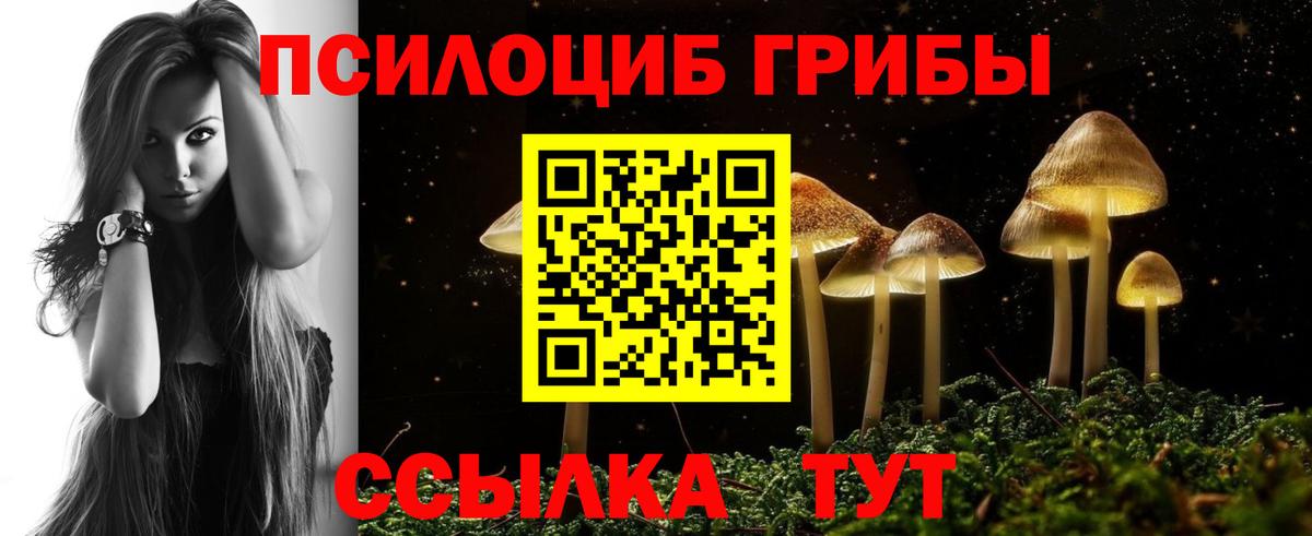 Ковров  Псилоцибиновые грибы Psilocybe  Вход с VPN 