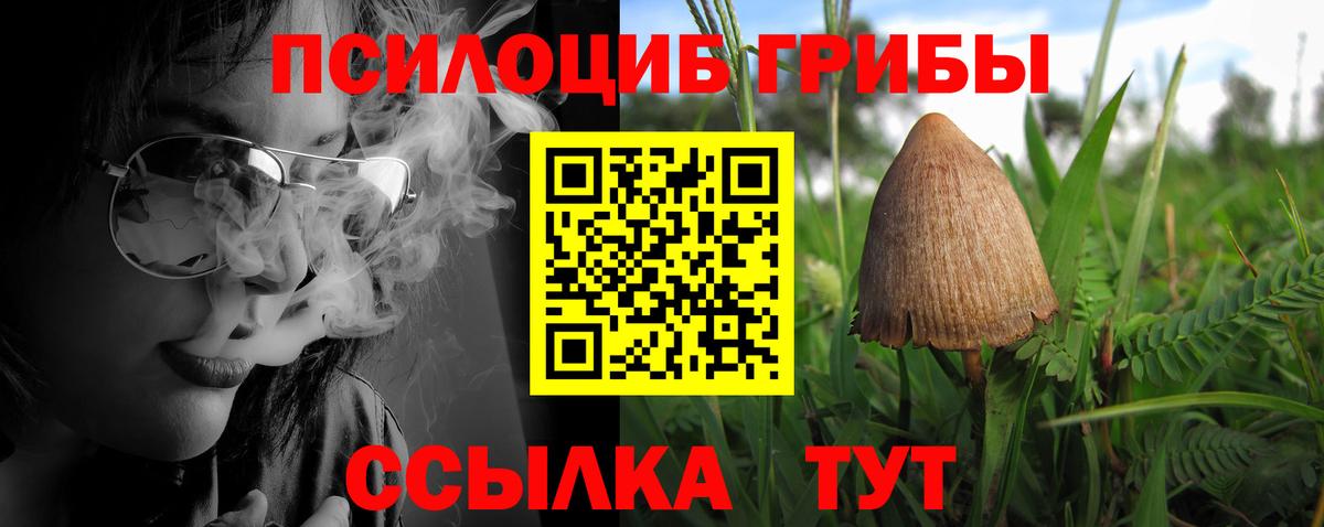 Псилоцибиновые грибы мухоморы Ковров